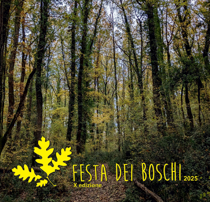 Festa dei Boschi 2025